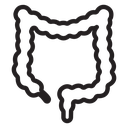 Large intestine icon