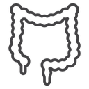 Large intestine icon