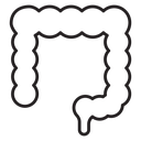 Large intestine icon