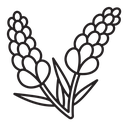 Lavender icon