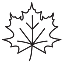 Leaf icon