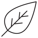 Leaf icon