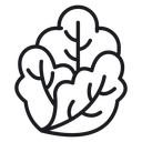 Lettuce 3 icon