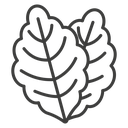 Lettuce icon