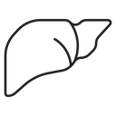 Liver 2 icon