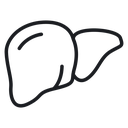 Liver 3 icon