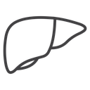 Liver 4 icon
