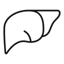 Liver icon