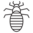 Louse icon