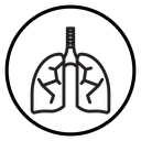 Lungs icon