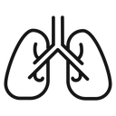 Lungs icon