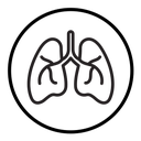 Lungs icon