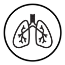 Lungs icon