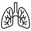 Lungs icon