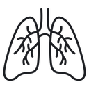 Lungs 2 icon