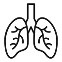 Lungs icon