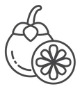 Mangosteen icon