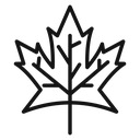 Maple Leaf 2 icon