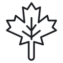 Maple Leaf 4 icon