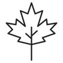 Maple leaf 2 icon