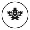 Maple Leaf 2 icon