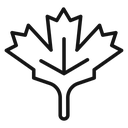 Maple leaf icon