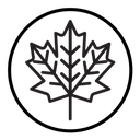 Maple leaf icon
