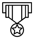 Military medal icon