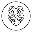 Monstera deliciosa plant leaf icon