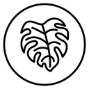 Monstera deliciosa plant leaf icon