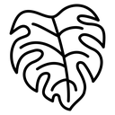 Monstera deliciosa plant leaf icon
