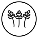 Monstera leaves icon