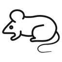 Mouse animal Black Outline icon