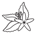 Neroli icon