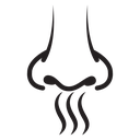 Nose with smoke icon