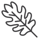 Oak Leaf icon