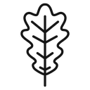 Oak Leaf 4 icon