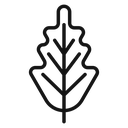Oak Leaf icon