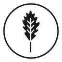 Oak Leaf Black Outline icon