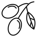 Olive 2 icon
