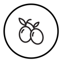 Olive icon