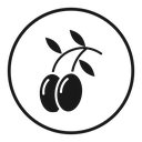Olive 2 icon