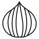 Onion 3 icon