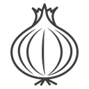 Onion 4 icon