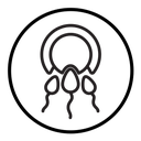 Ovule being fertilized by sperm icon