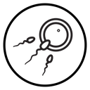 Ovule Fertilized Sperm Black Outline icon