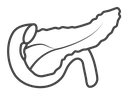 Pancreas Black Outline icon