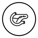 Pancreas icon