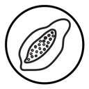 Papaya (2) icon