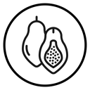 Papaya (2) icon